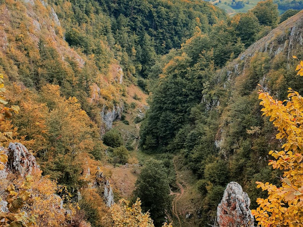 Trekking w górach Mecsek: Najlepsze szlaki w okolicach Peczu
