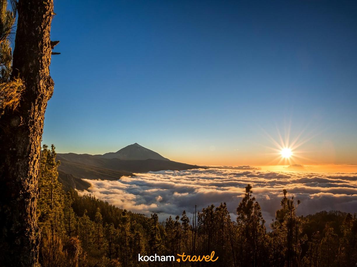 Wschód słońca nad chmurami, wulkan Teide, las sosnowy.