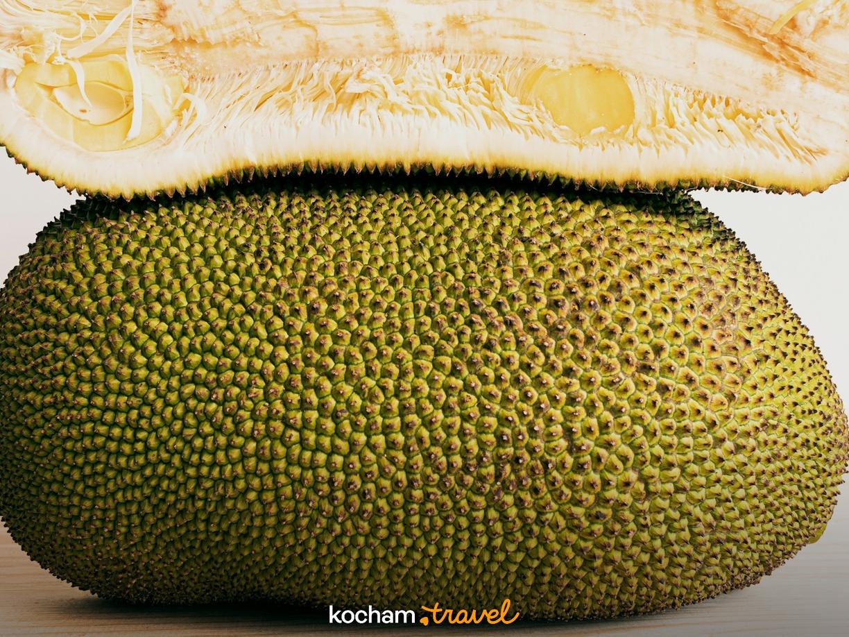 Jackfruit przekrojony, ukazujący zieloną kolczastą skórkę i jasnożółty miąższ.