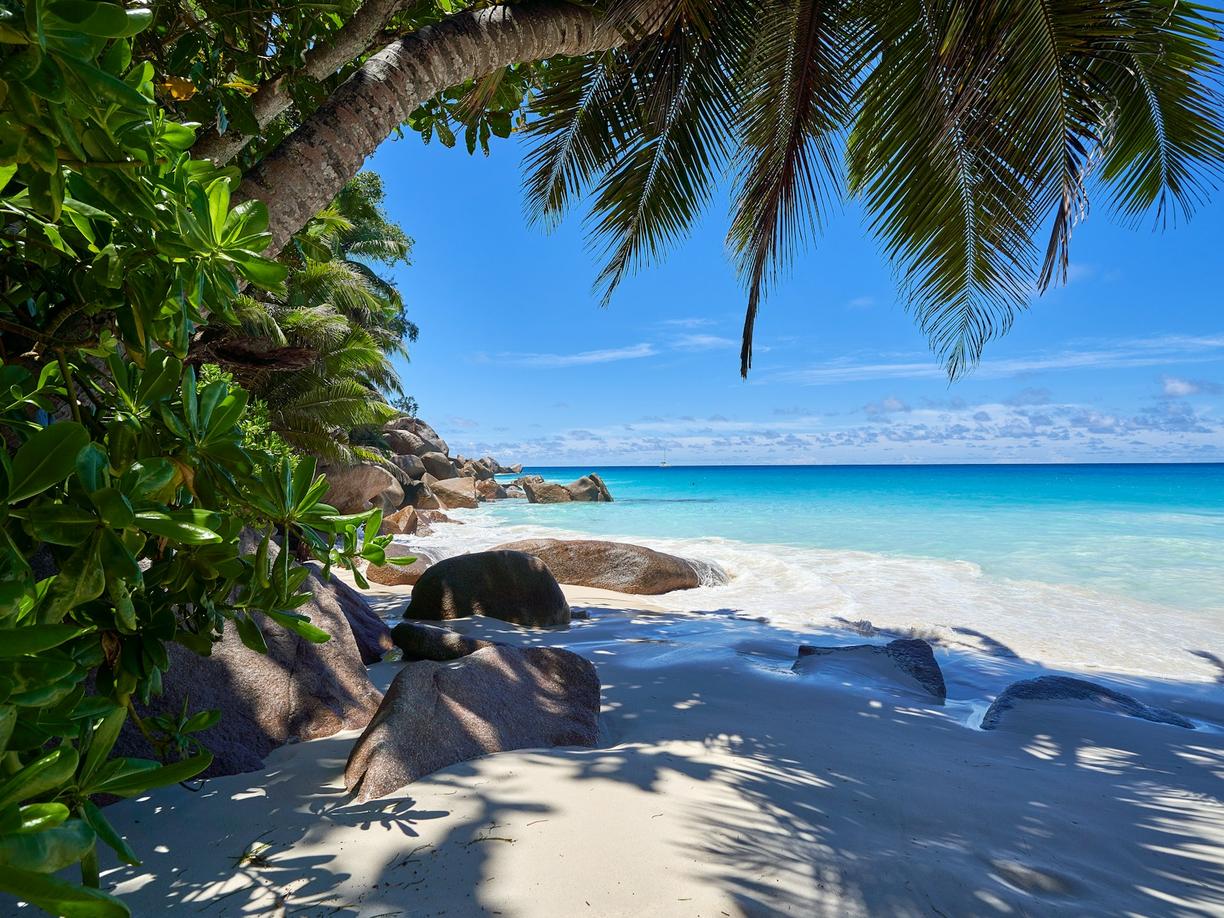 Szeszele. Praslin: co zobaczyć w 48 godzin?