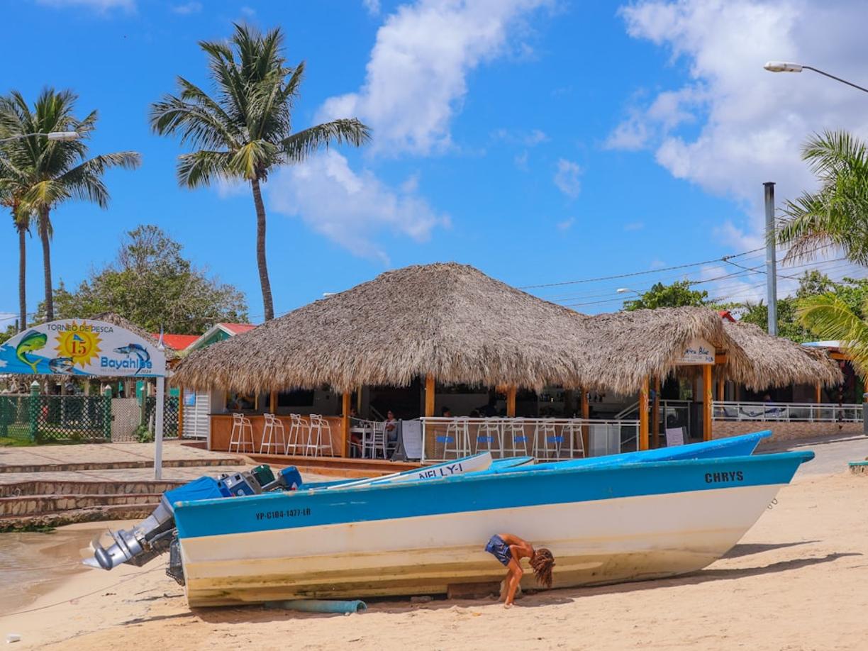 Spokojna plaża w Bayahibe z palmami i turkusową wodą