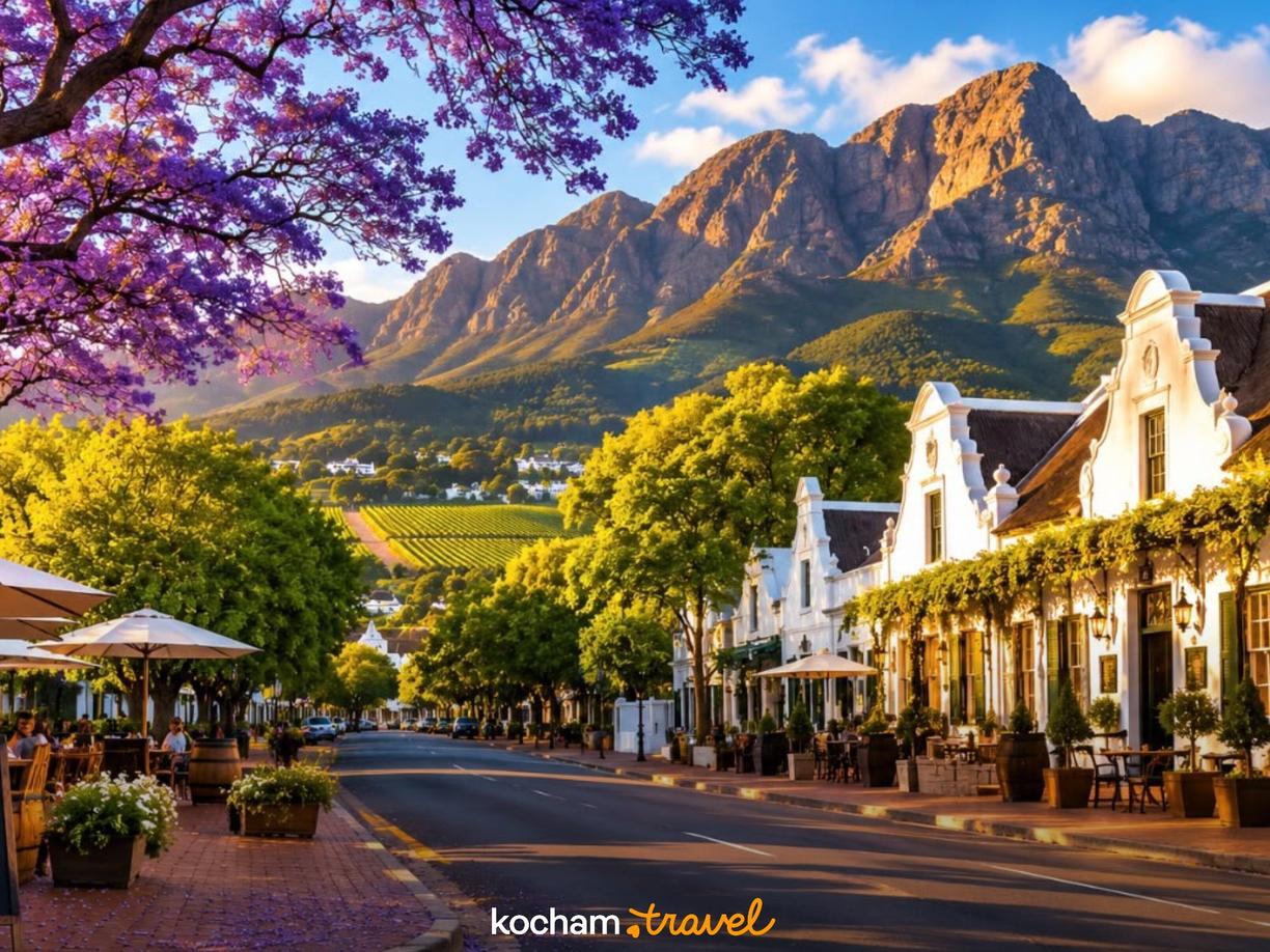Ulica Stellenbosch z drzewami jakarandy, budynkami Cape Dutch, górami i winnicami.