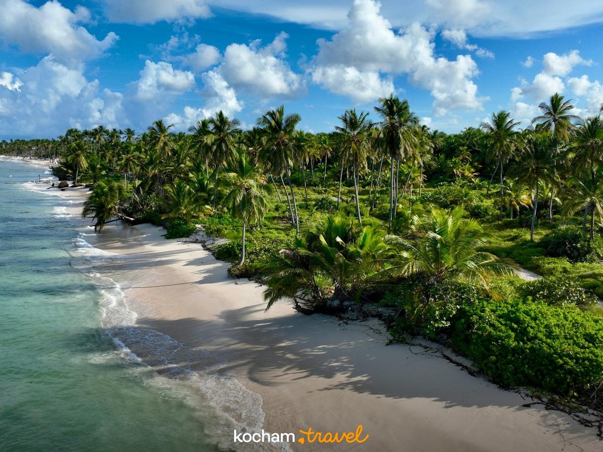 Dominikana. Odkryj Hoyo Azul i inne magiczne cenoty w okolicach Punta Cana.
