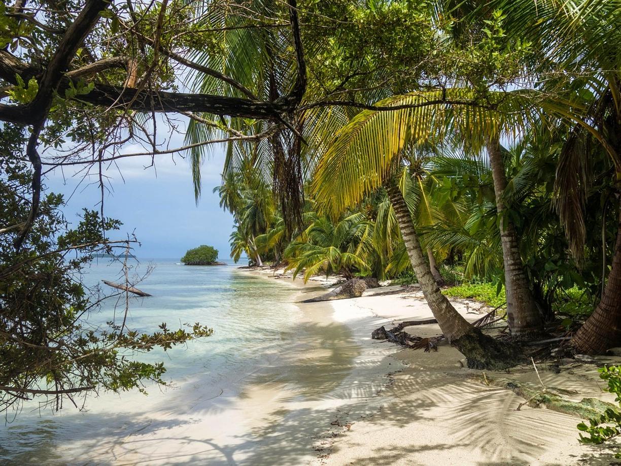 Tropikalna plaża z palmami, turkusową wodą i białym piaskiem.