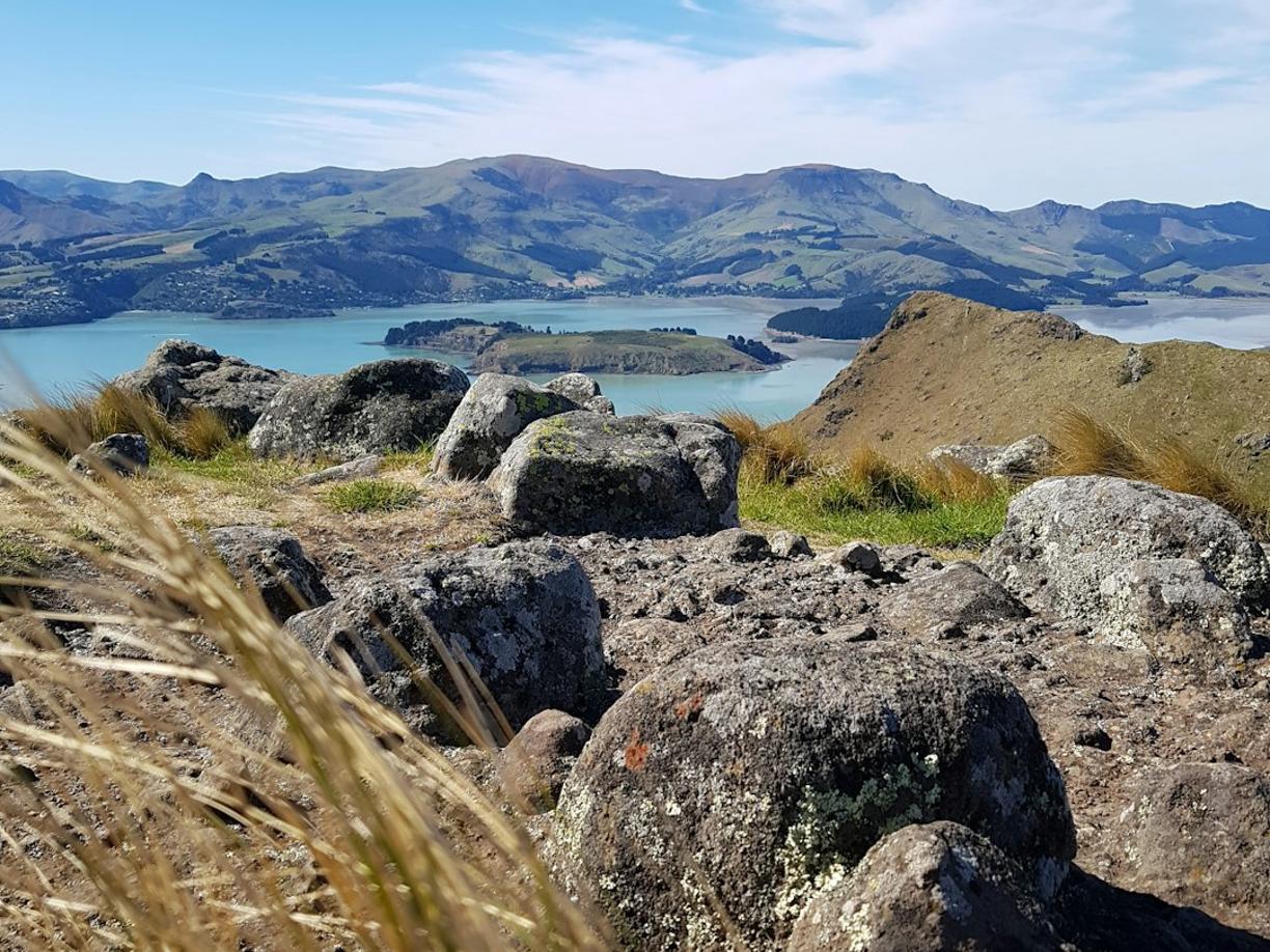 Nowa Zelandia. Trekking na Półwyspie Banksa: Najlepsze szlaki w okolicach Christchurch