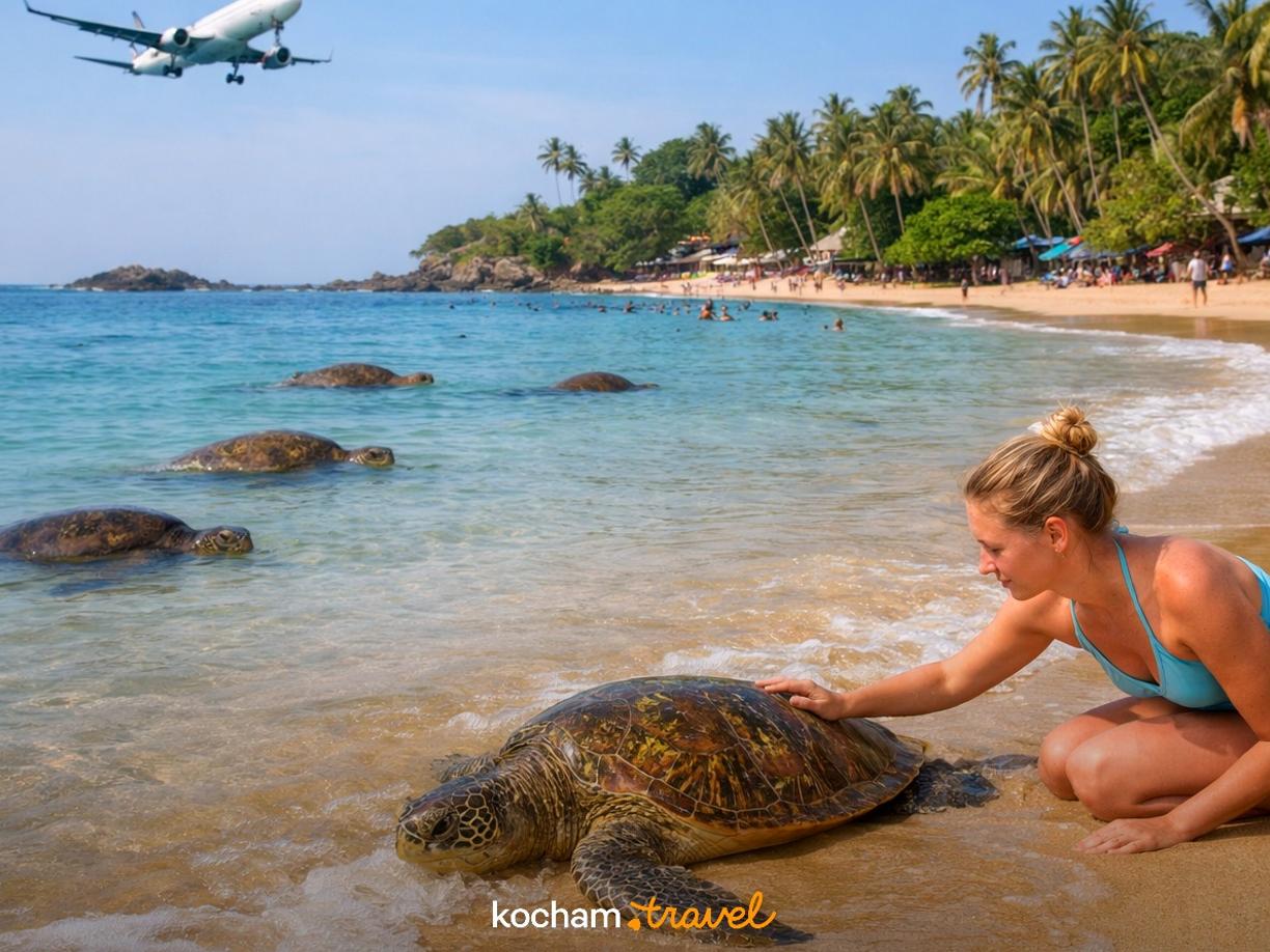 Ilustracja do tematu: Gdzie samolotem na urlop: Sri Lanka i spotkania z żółwiami morskimi na plażach w Unawatunie.