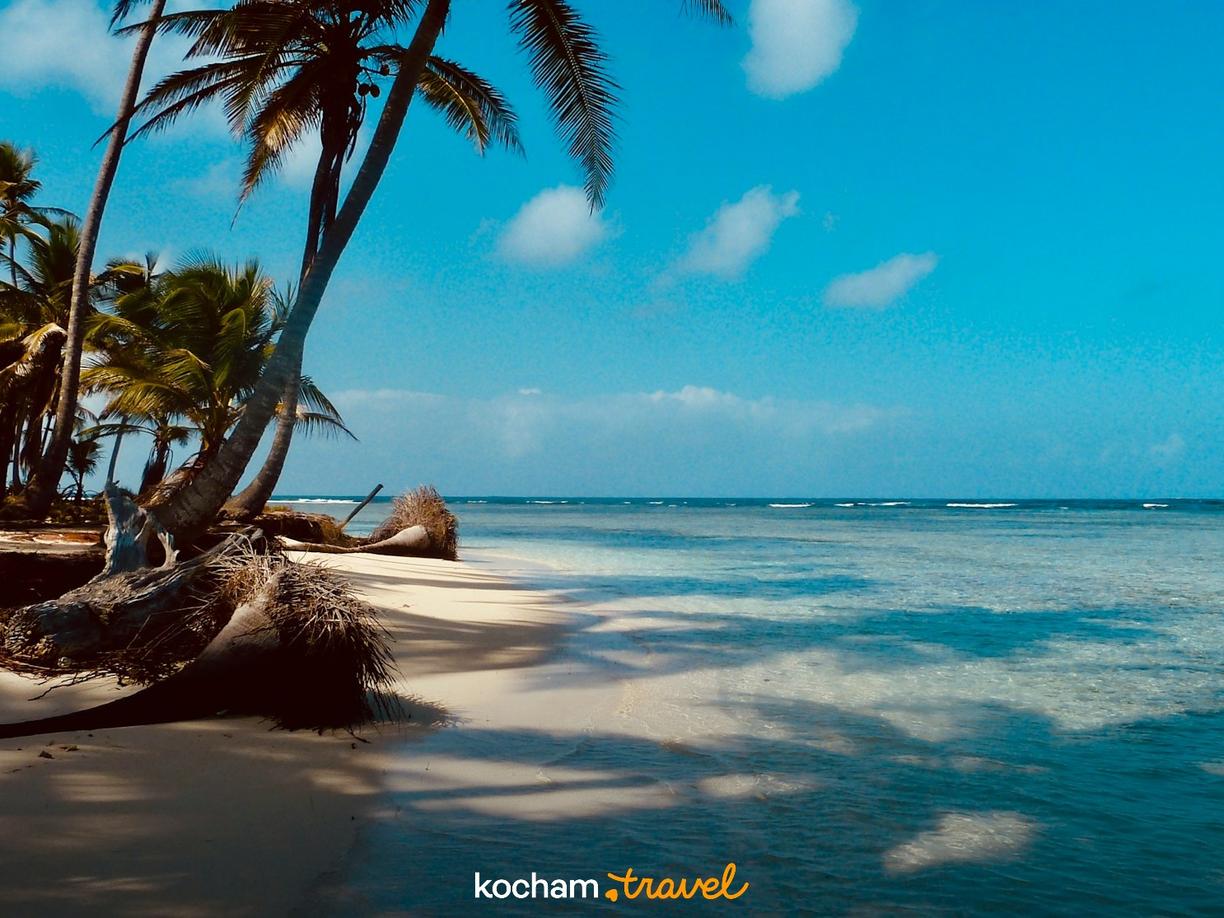 Tropikalna plaża z palmami, błękitną wodą i czystym niebem.