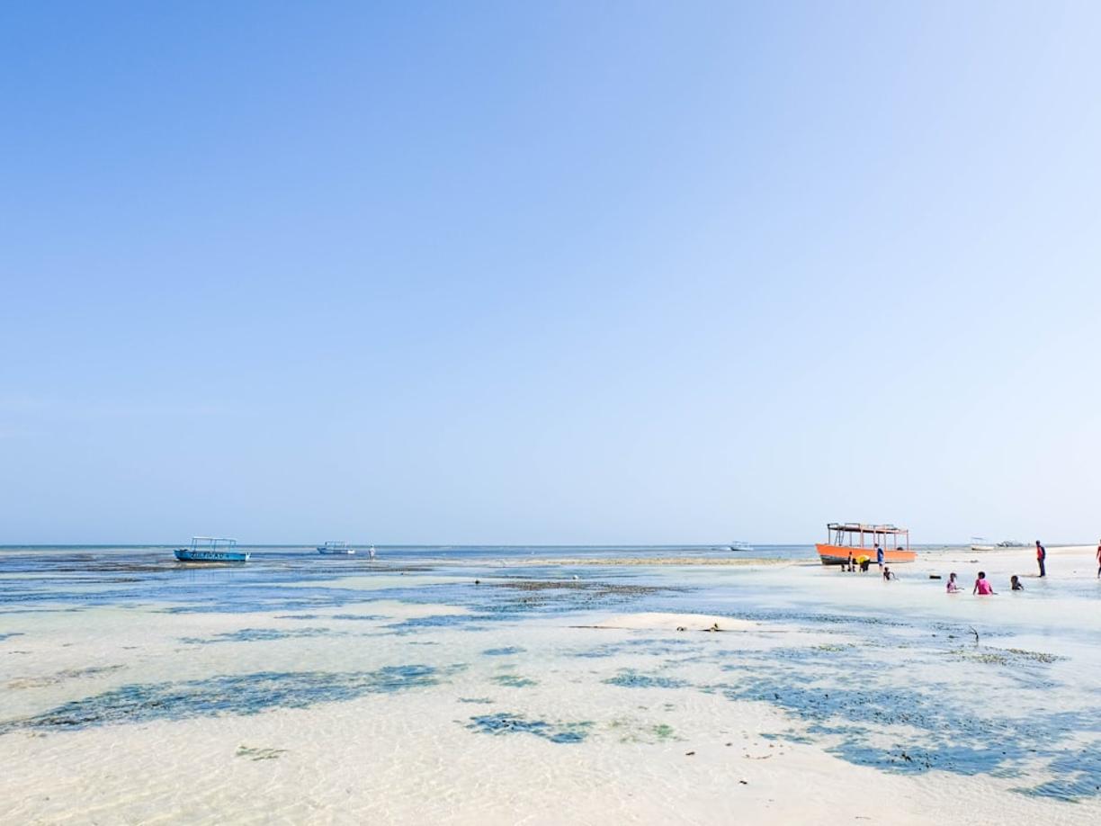 Kenia. Ceny w Malindi 2025/26: Ile kosztuje obiad, wstęp do parku morskiego i taksówka?