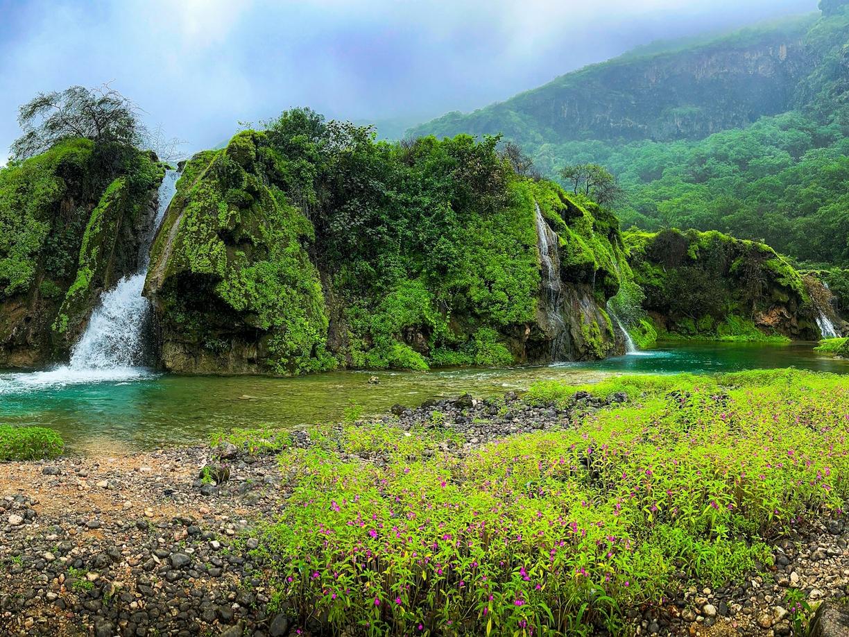 Oman poza utartym szlakiem: Salalah i zielone wadi regionu Dhofar
