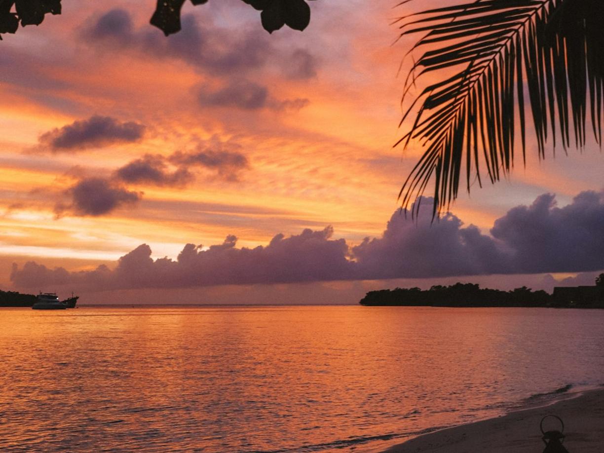 Co zwiedzić w Grand Baie i na północy Mauritiusa? Ogród Pamplemousses i Port Louis