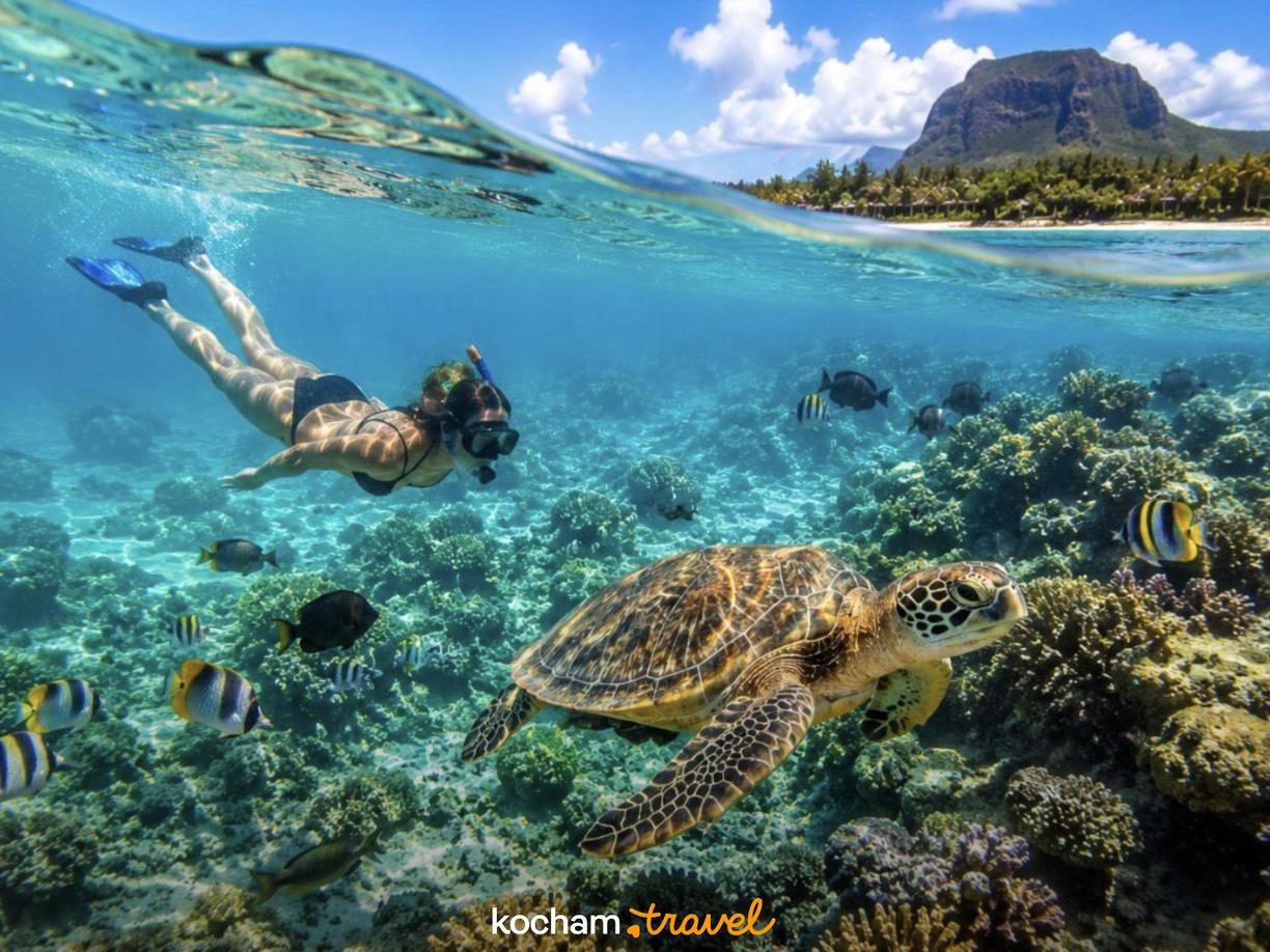 Nurkowanie z rurką, żółw morski, rafa koralowa na Mauritiusie.