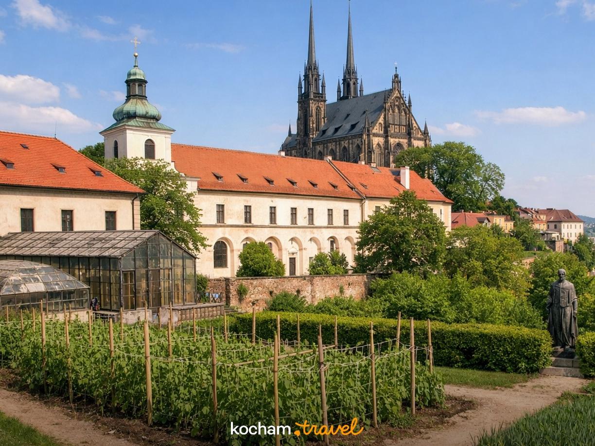 Ilustracja do tematu: City break z Krakowa: Brno - śladami Gregora Mendla i naukowych odkryć w czeskich Morawach.