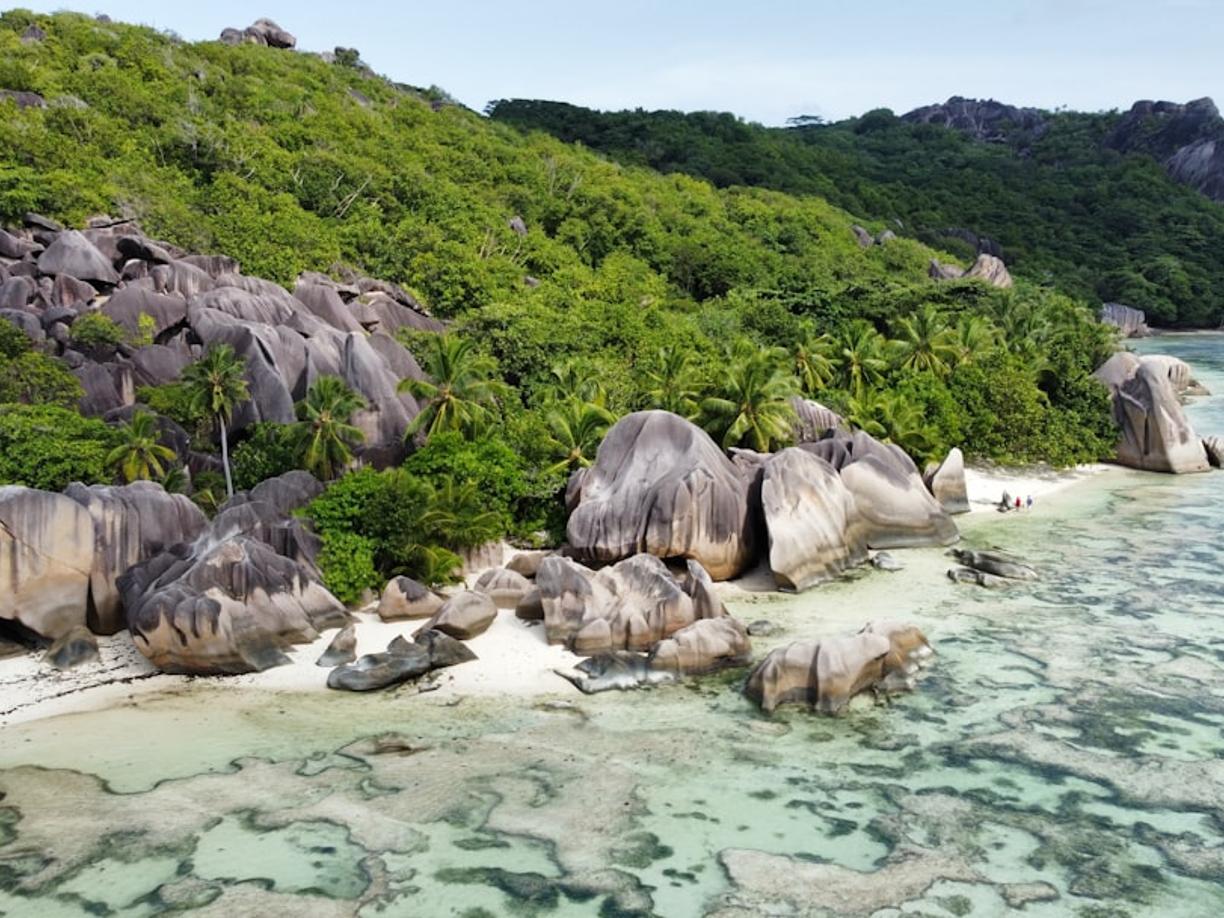 Tropikalna plaża Seszeli z granitowymi skałami, palmami, turkusową wodą.