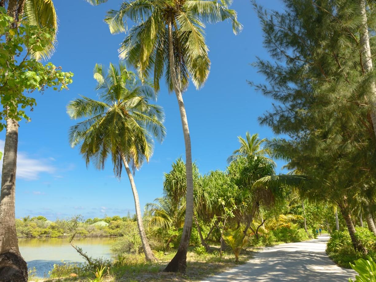 Oceania. Sporty wodne na Aitutaki: Nurkowanie, kitesurfing i kajaki w sercu Polinezji