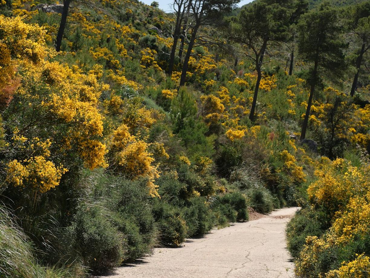 Krajobraz gór Serra de Tramuntana na Majorce