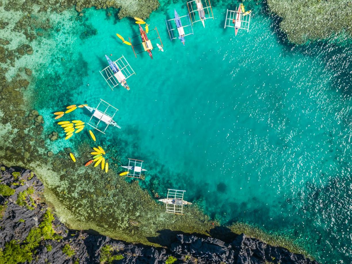 Nurkowanie i snurkowanie na Bora Bora: Gdzie znaleźć najlepsze podwodne ogrody?