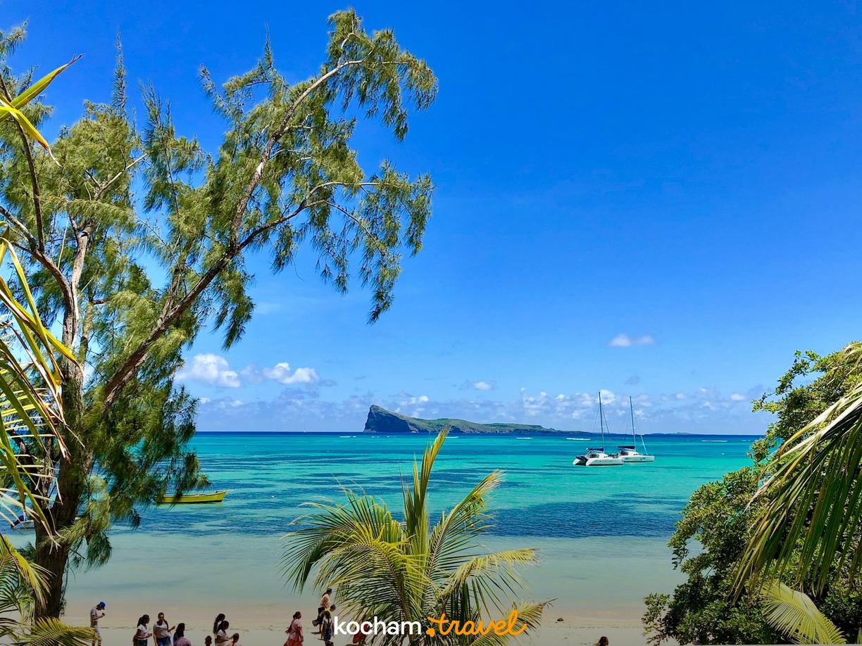 Malownicza plaża na Mauritiusie z turkusowym oceanem i palmami.