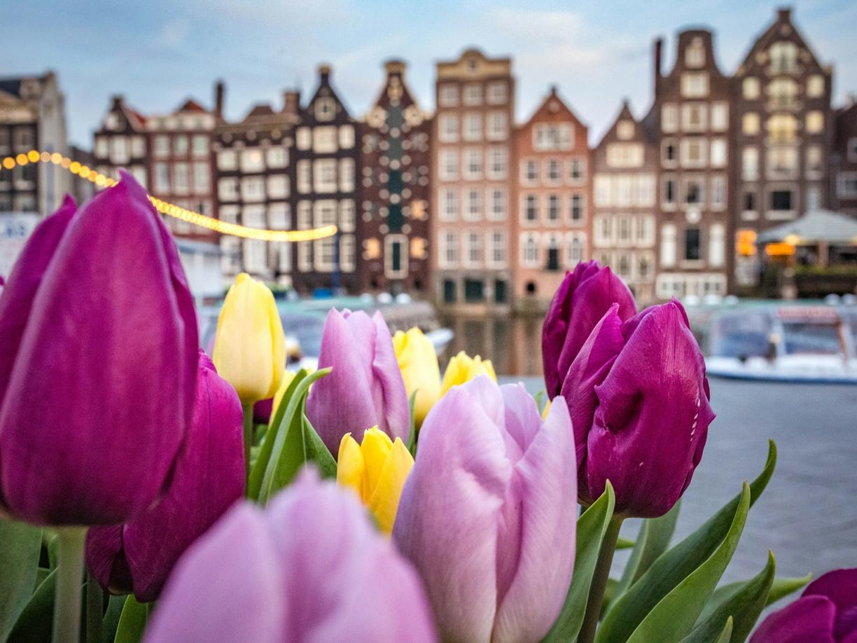 Nederlandy. Karta I amsterdam: Czy warto ją kupić? Analiza zniżek i oszczędności
