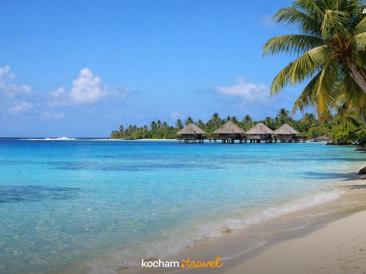 Ilustracja do tematu: Gotowy plan zwiedzania: Rangiroa, Polinezja Francuska - 3 dni