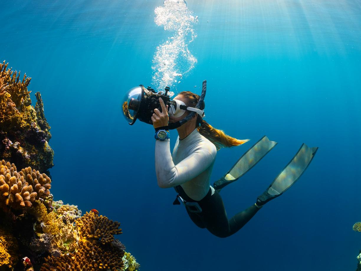 Meksyk. Nurkowanie i snorkeling na Cozumel: Podwodny świat rafy Palancar i innych cudów