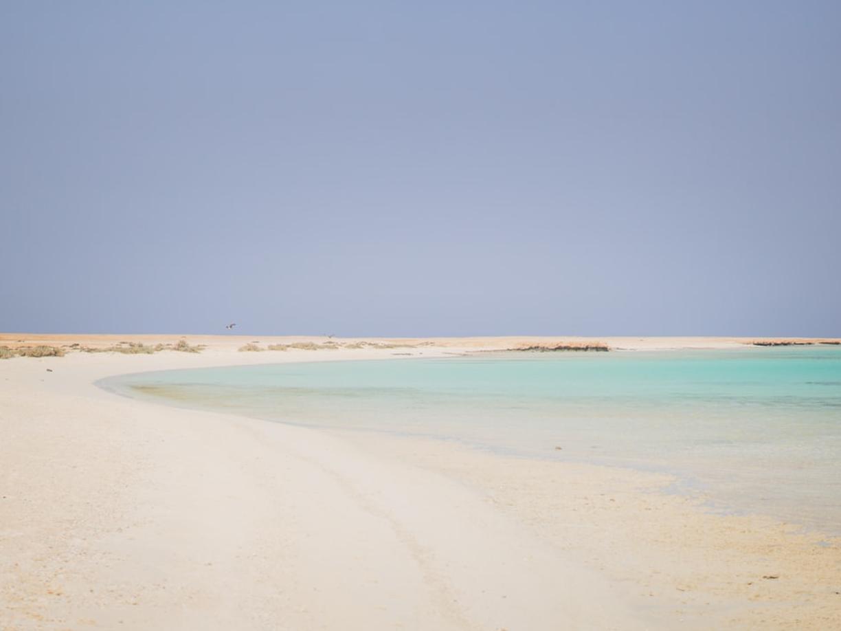 Egipt. Najpiękniejsze plaże w Marsa Alam: Abu Dabbab (plaża żółwi) i inne perełki