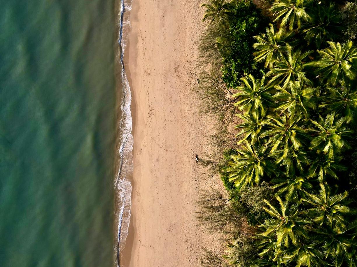 Widok na Palm Cove Beach w Cairns