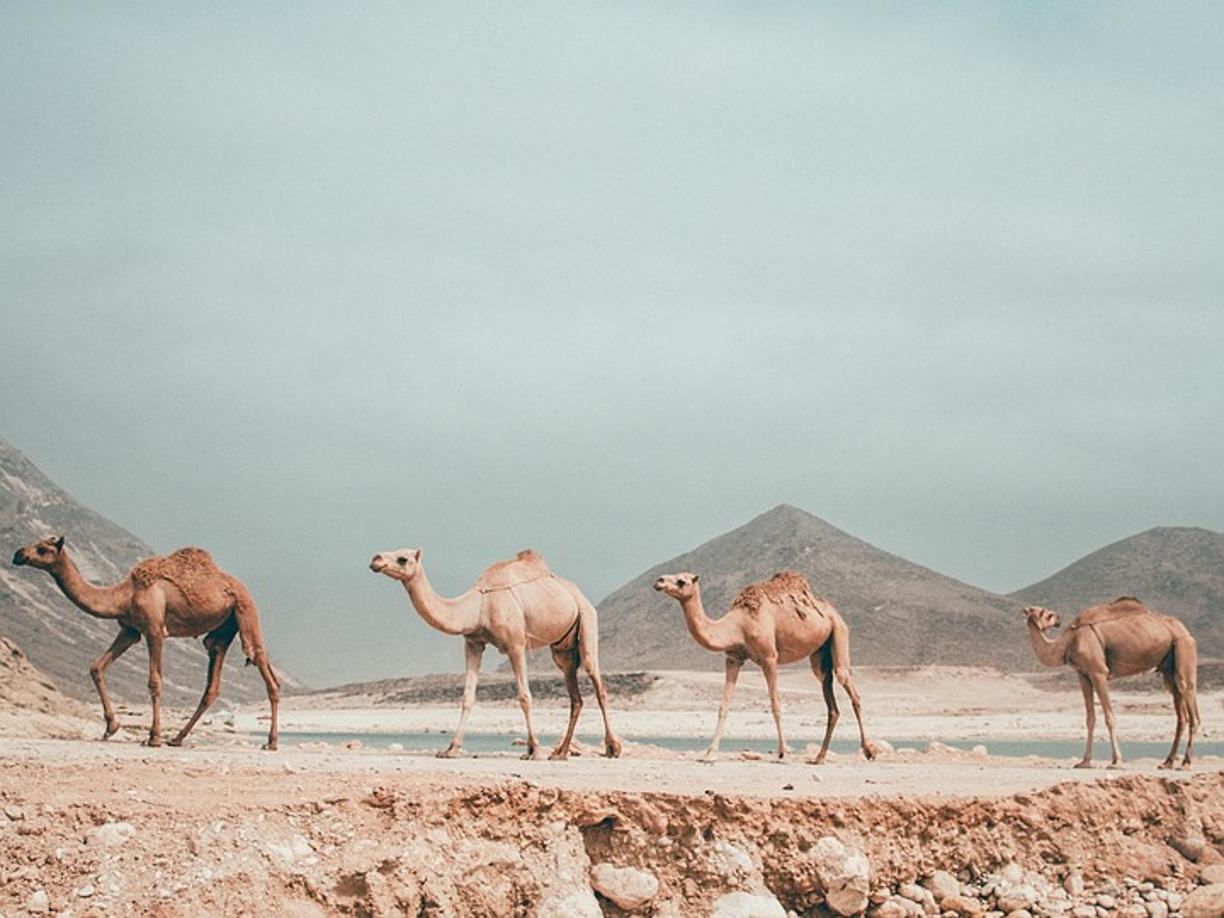 Zima pod dachem: Salalah – teatry, koncerty i lokalne tradycje