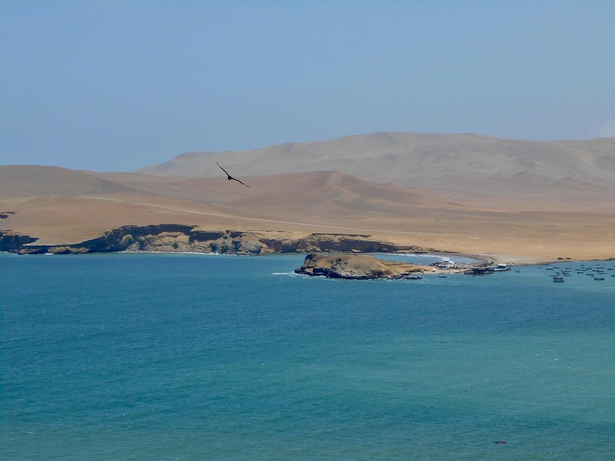 Paracas: jak dojechać i gdzie spać — przejrzysty plan?