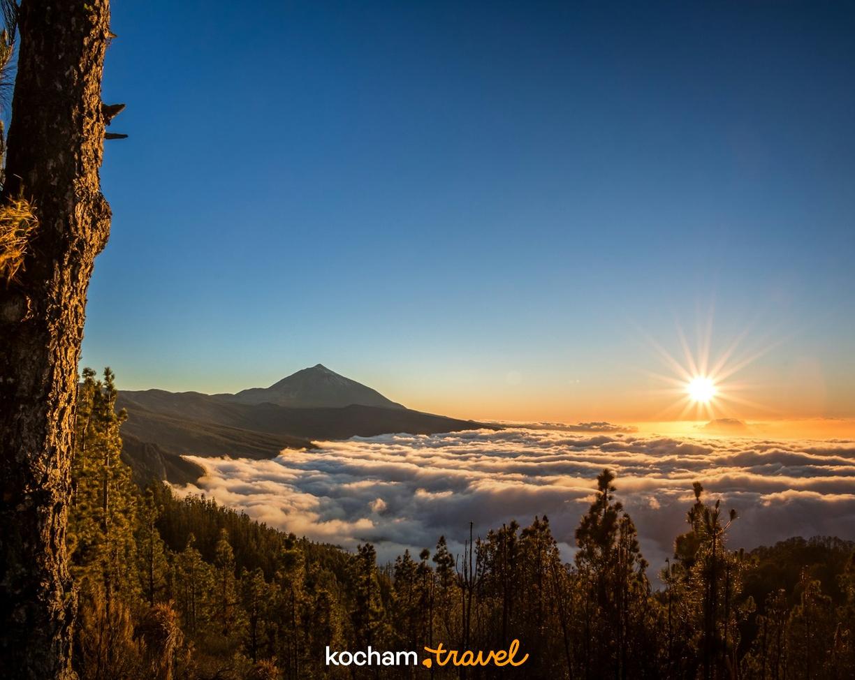 Wschód słońca nad chmurami, wulkan Teide, las sosnowy.