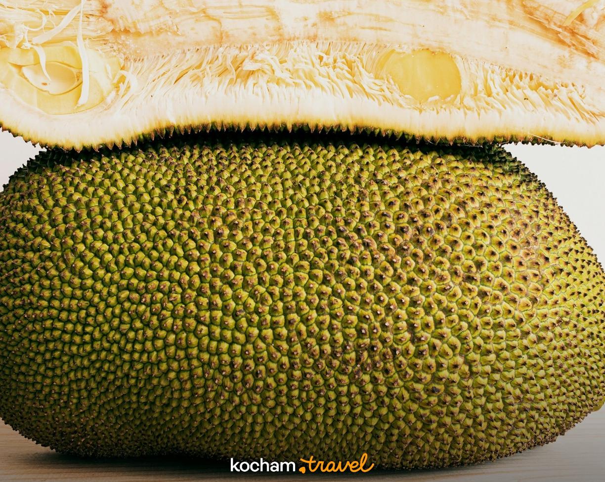 Jackfruit przekrojony, ukazujący zieloną kolczastą skórkę i jasnożółty miąższ.
