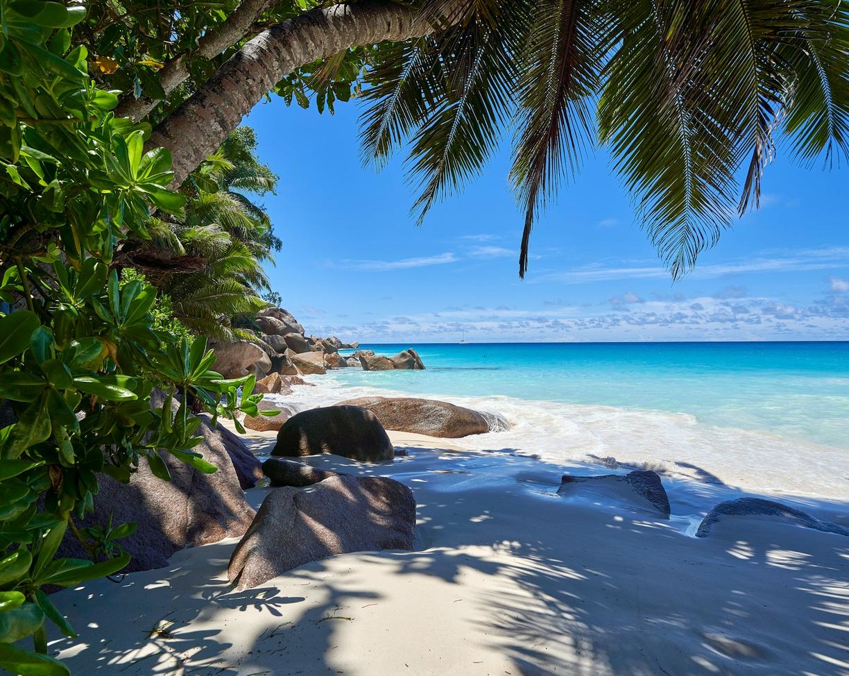 Szeszele. Praslin: co zobaczyć w 48 godzin?