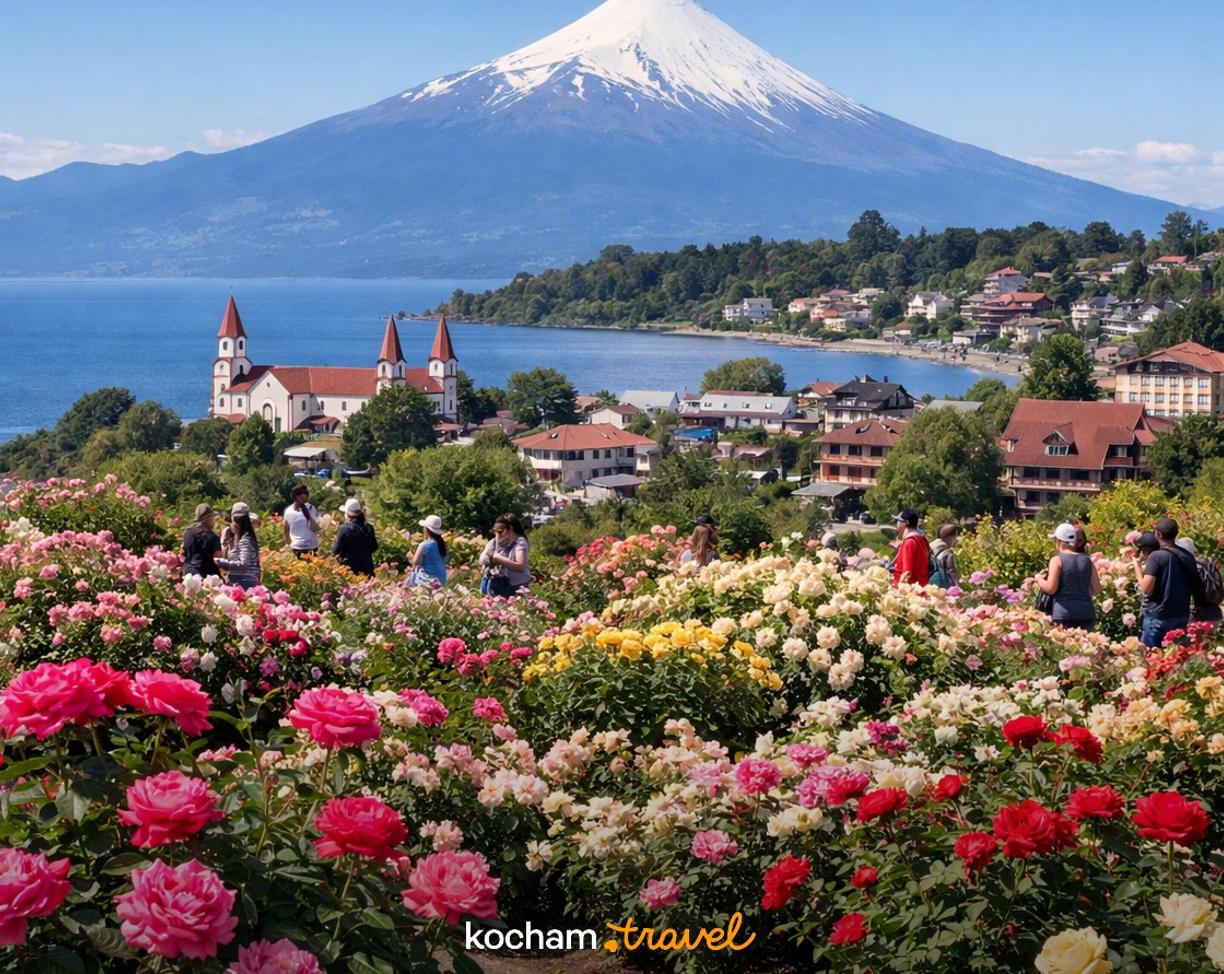 Ilustracja do tematu: Chile. Festiwal Róż w Puerto Varas: jak zaplanować wyjazd na to wydarzenie, zdobyć wejściówki i dopiąć logistykę