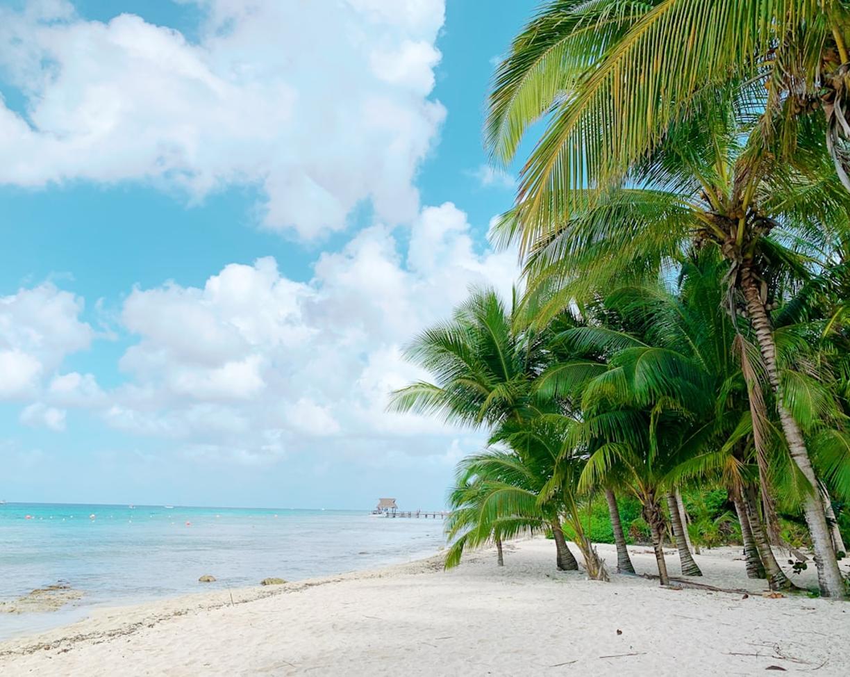 All Inclusive na Cozumel: Przewodnik po najlepszych resortach dla nurków i rodzin