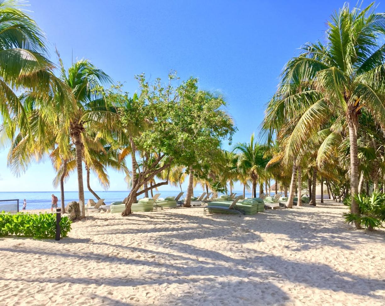Najpiękniejsze plaże Ekwadoru: Montañita, Los Frailes i inne perełki