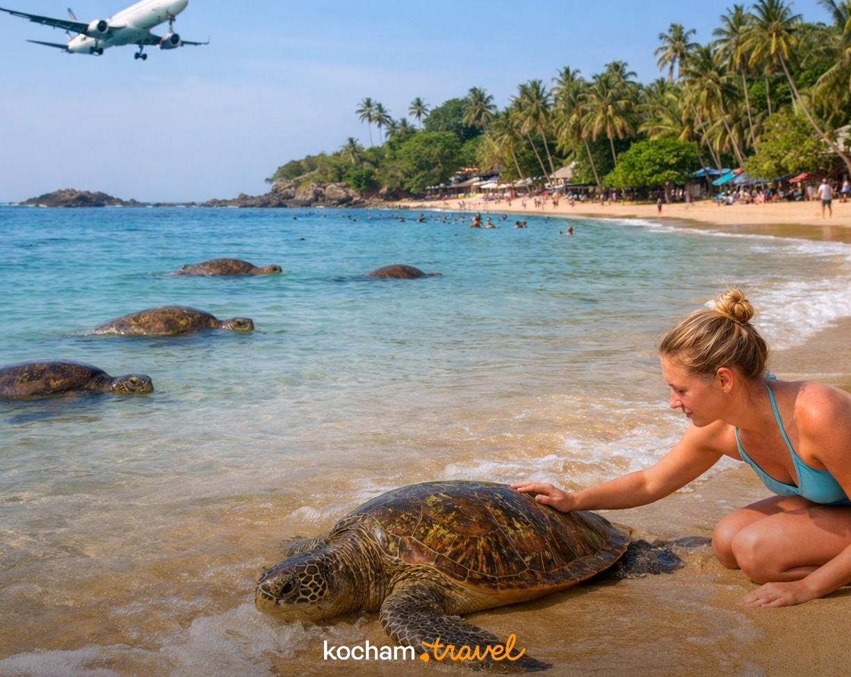 Ilustracja do tematu: Gdzie samolotem na urlop: Sri Lanka i spotkania z żółwiami morskimi na plażach w Unawatunie.