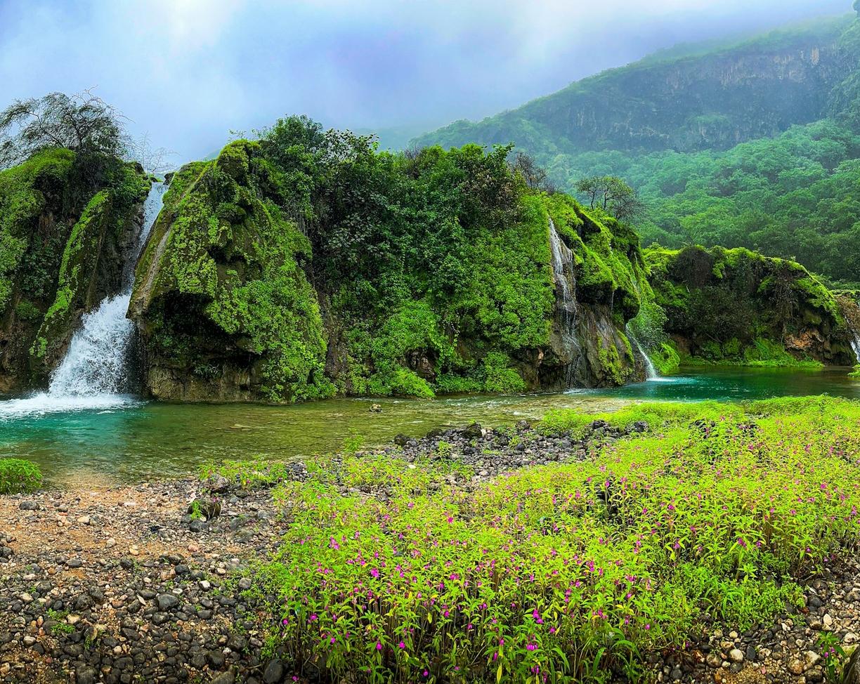 Oman poza utartym szlakiem: Salalah i zielone wadi regionu Dhofar