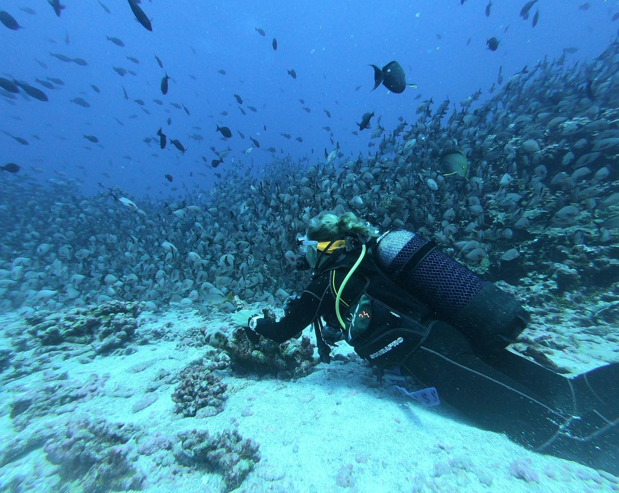 Meksyk. Nurkowanie na Cozumel: Przewodnik po drugiej największej rafie koralowej na świecie