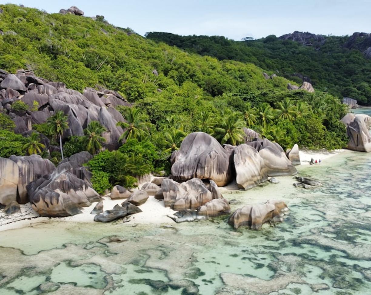 Tropikalna plaża Seszeli z granitowymi skałami, palmami, turkusową wodą.