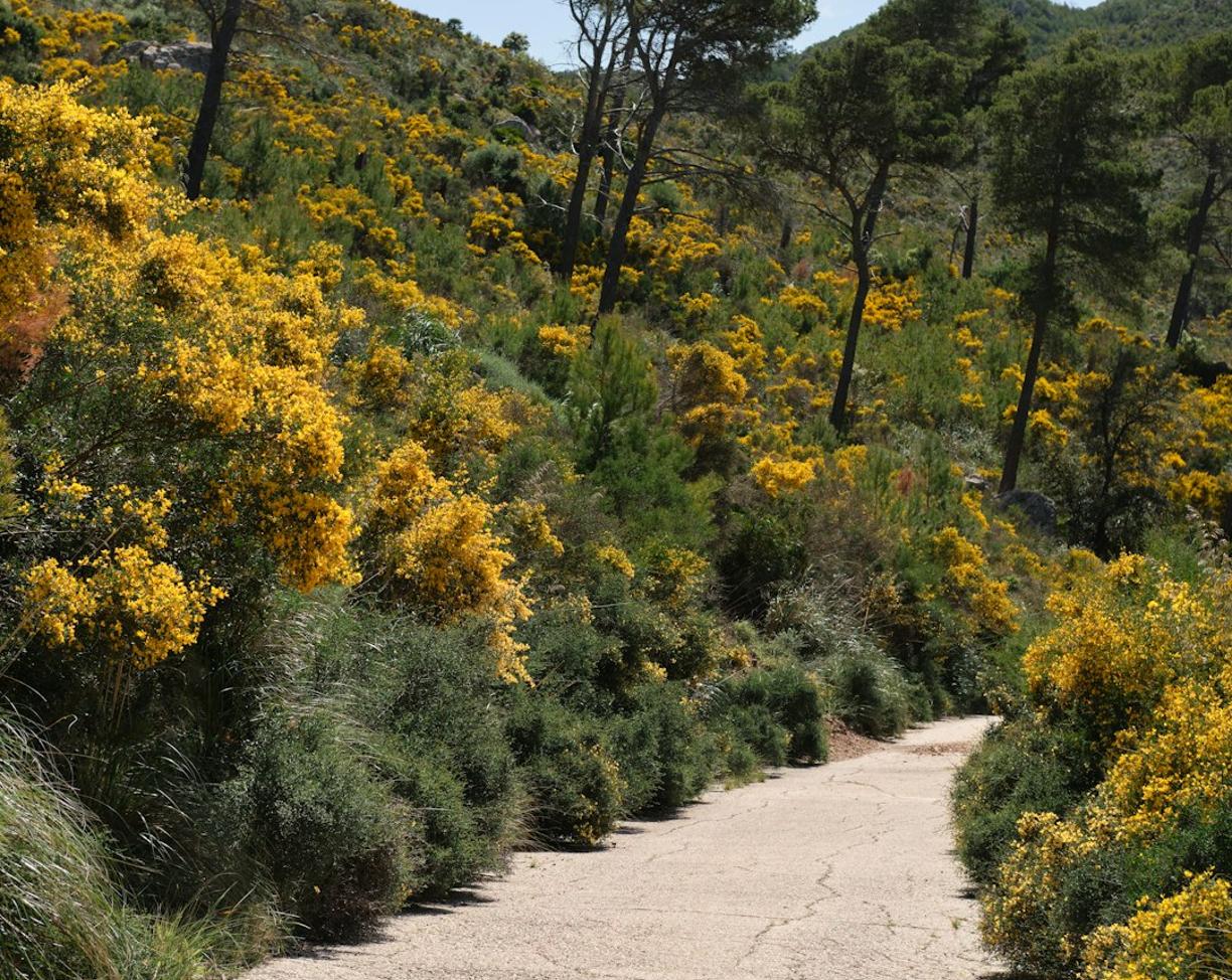 Krajobraz gór Serra de Tramuntana na Majorce