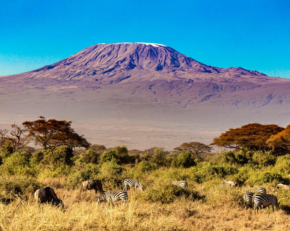Kenia. Safari z Mombasy: Jak zorganizować jednodniową lub dłuższą wycieczkę do Tsavo East?