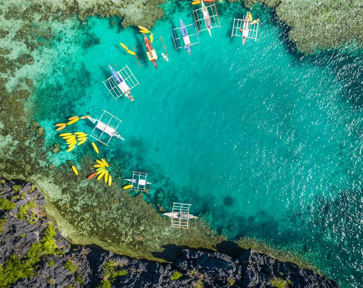 Nurkowanie i snurkowanie na Bora Bora: Gdzie znaleźć najlepsze podwodne ogrody?