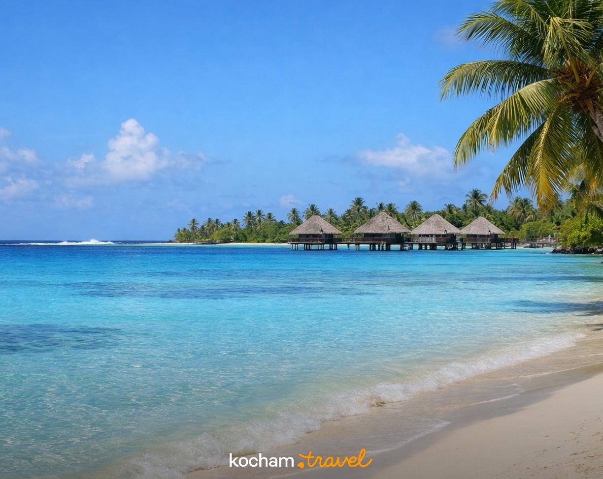 Ilustracja do tematu: Gotowy plan zwiedzania: Rangiroa, Polinezja Francuska - 3 dni