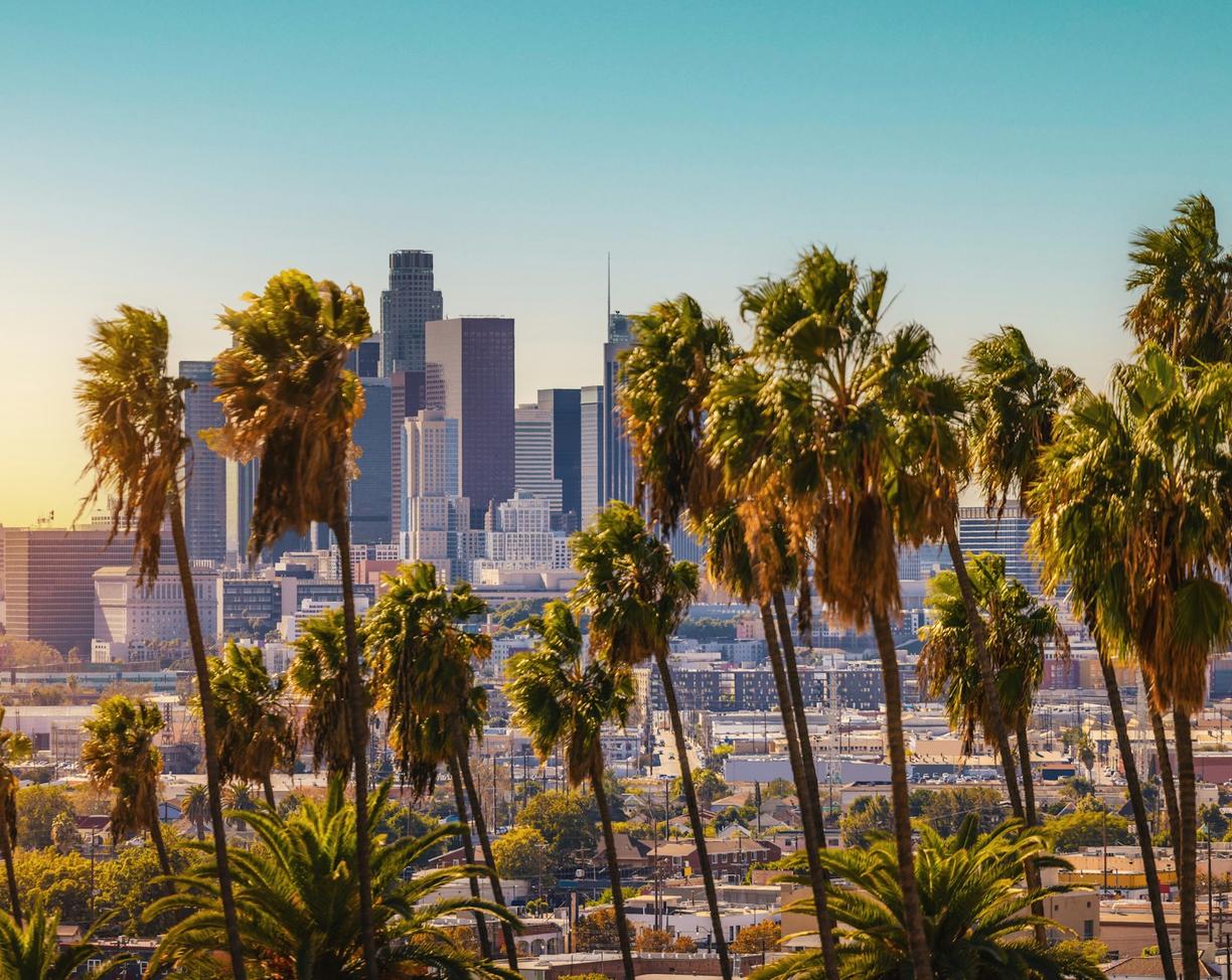 USA. Trekking w Los Angeles: Najlepsze szlaki w Runyon Canyon i górach Santa Monica