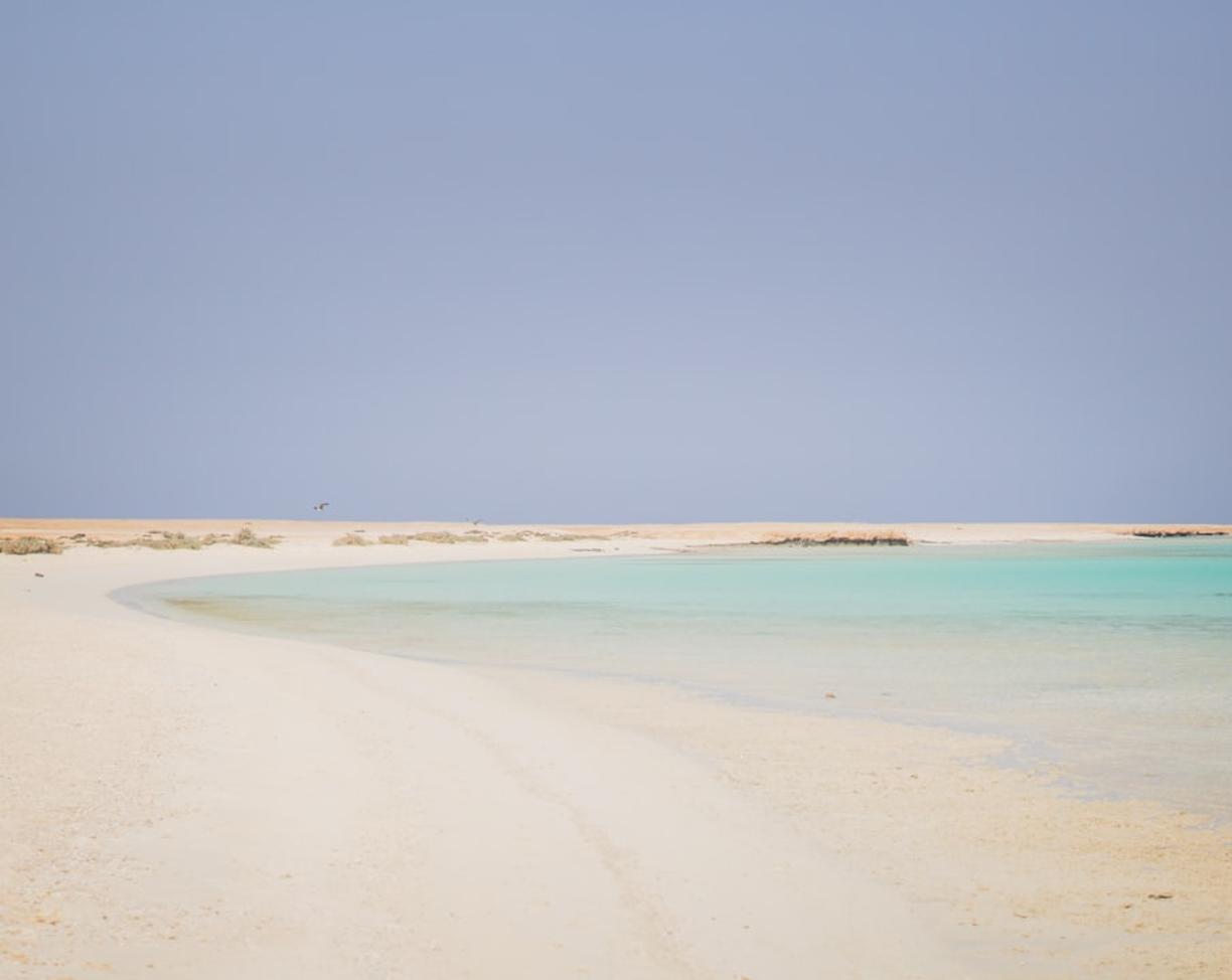 Egipt. Najpiękniejsze plaże w Marsa Alam: Abu Dabbab (plaża żółwi) i inne perełki