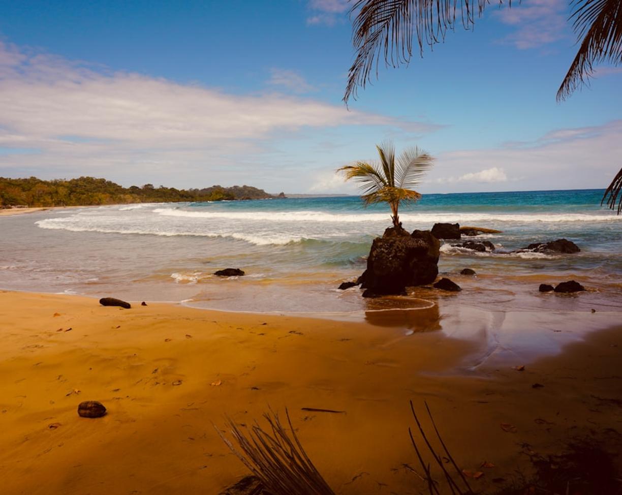 Panama. Island hopping w Bocas del Toro: Jak zorganizować wycieczkę po archipelagu?