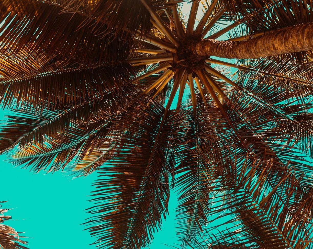 Listopad: Hulhumale – darmowe atrakcje i korzystne godziny zwiedzania