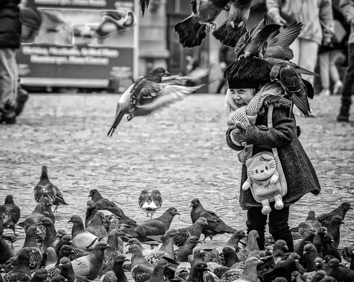Amsterdam: najlepsze punkty widokowe i zdjęcia?