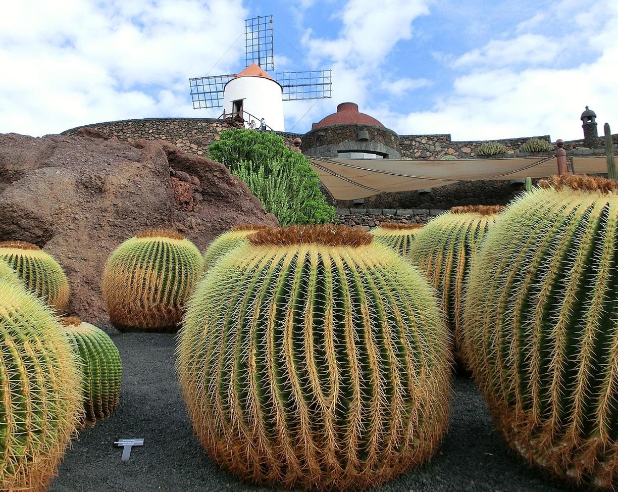 Lanzarote: najlepsze punkty widokowe i zdjęcia?