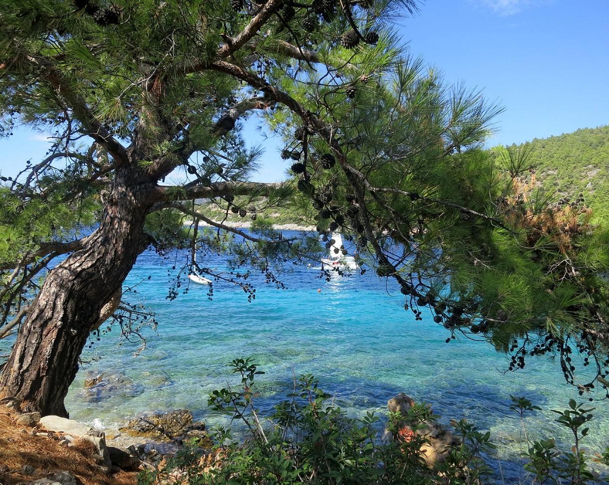 Gdzie zjeść w Bodrum? Lokalne smaki