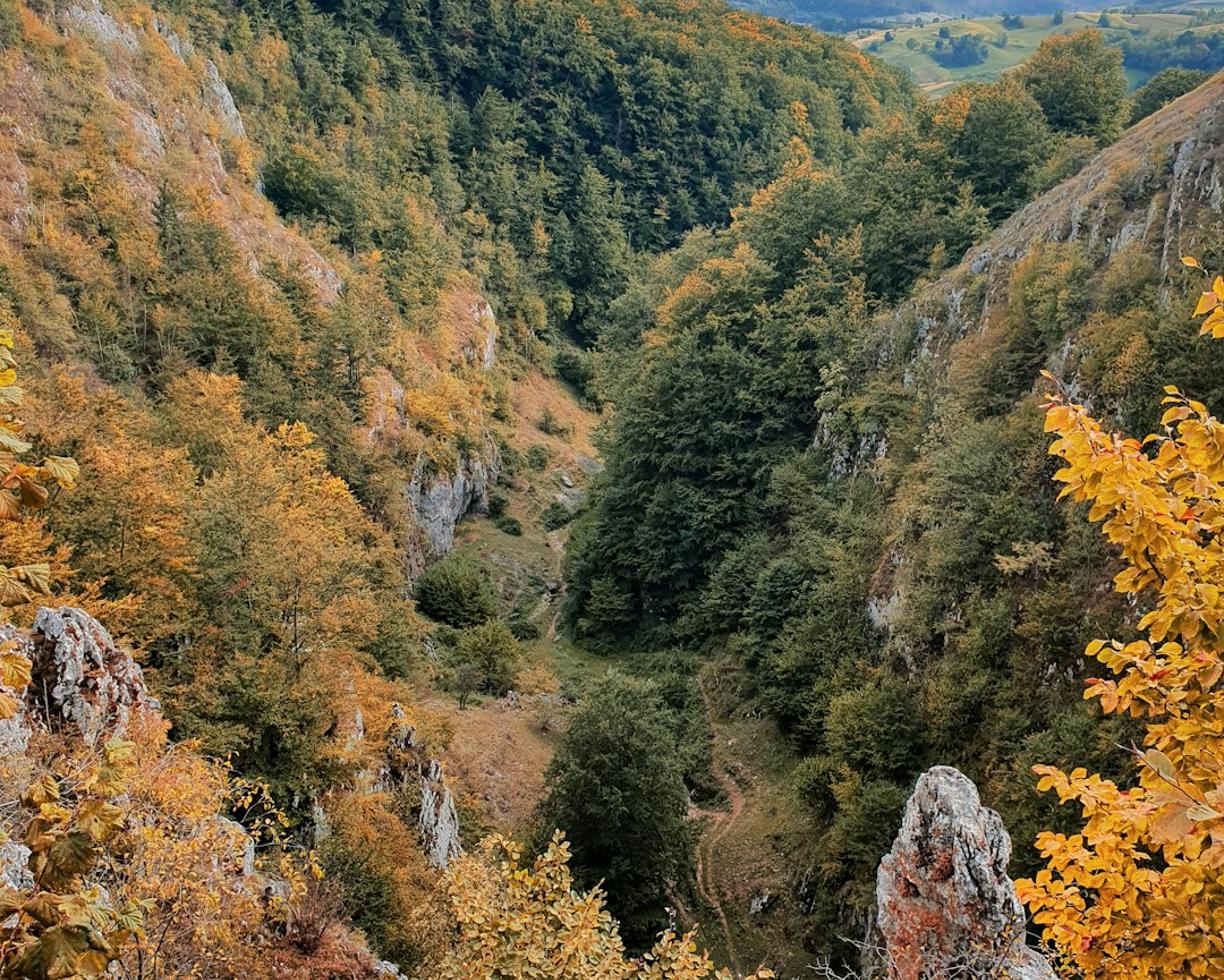 Trekking w górach Mecsek: Najlepsze szlaki w okolicach Peczu